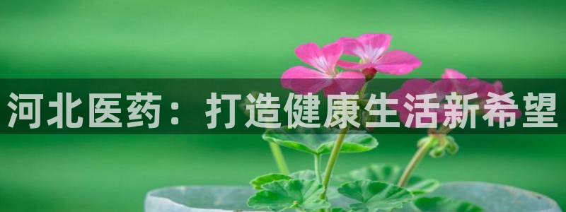 j9九游会老哥俱乐部交流区