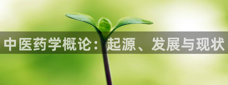 九游会怎么提币