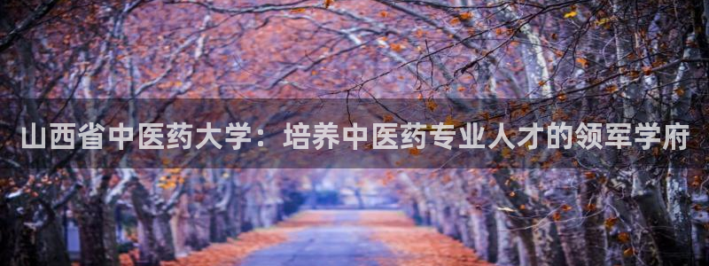 j9九游会导航