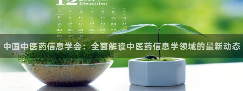 九游会j9官网入口登录新版