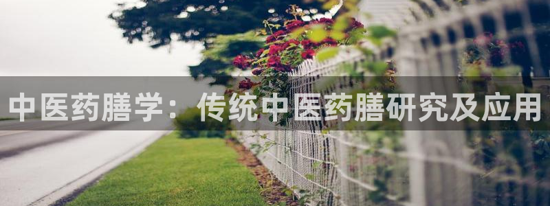 九游j9官网