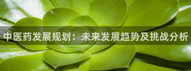 九游会官网下载不了吗