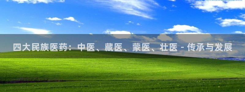 九游会网址最新
