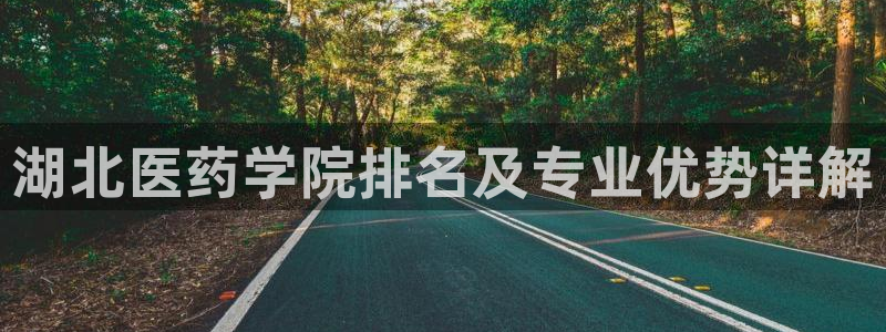 ag老队友