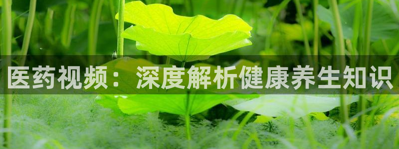 九游会官网下载最新版