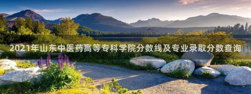 ag久游会