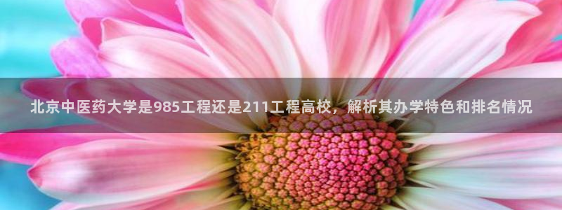 j9九游会登录