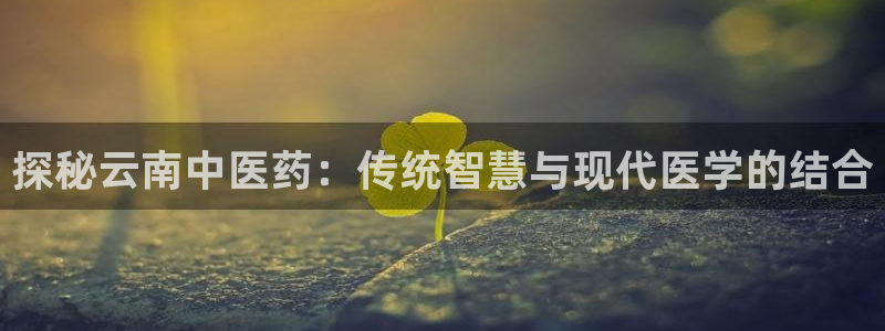 九游会j9官方网站