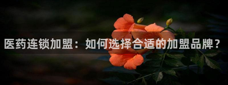 J9九游会是干嘛的