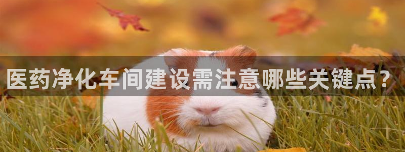 j9九游会ag私享