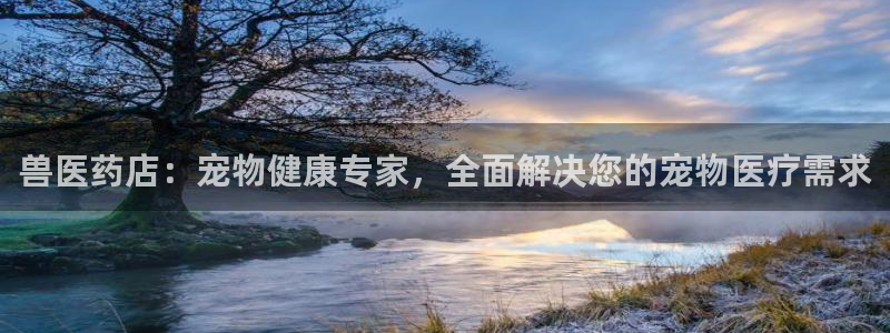 J9九游会强势登录