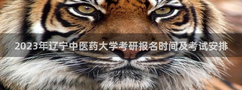 ag九游俱乐部