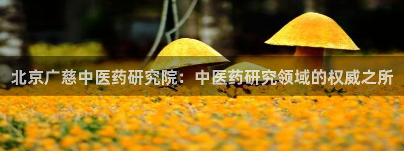 九游会大家觉得怎么样