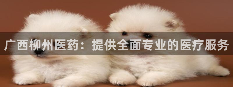 j9九游会首页入口试