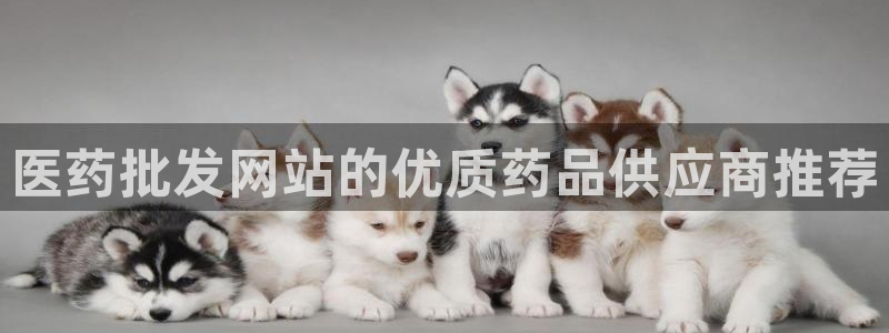 9游会官方网站