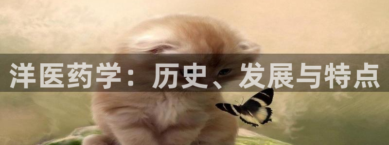 J9九游会老哥