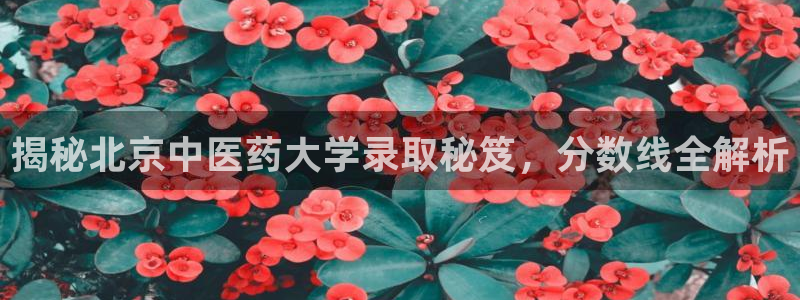 九游会在线官方下载吗