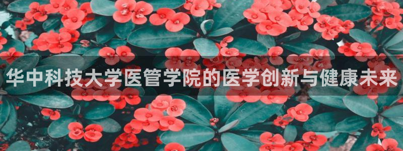 九游会亚洲唯一合作伙伴