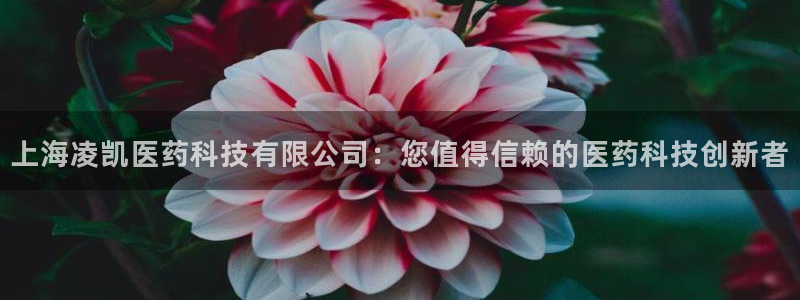 j9九游会老哥俱乐部交流区
