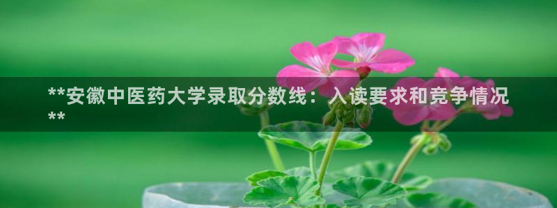 九游j9官网