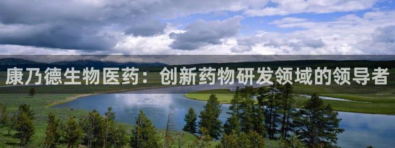 九游会手机登陆