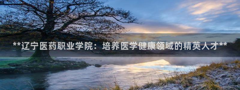 九游会官方网站登陆