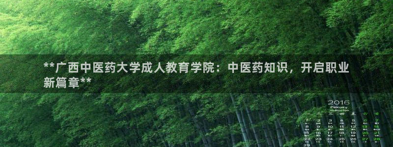 九游会j9官网网站
