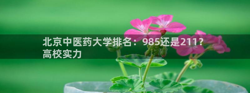 九游会进不去了
