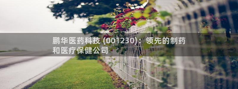 九游会AG在线平台