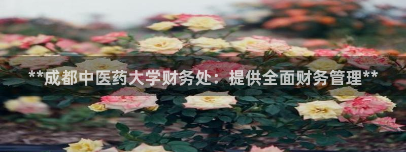 九游会j9
