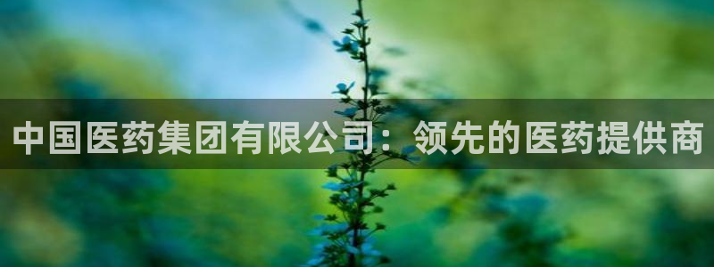 九游会J9官网入口