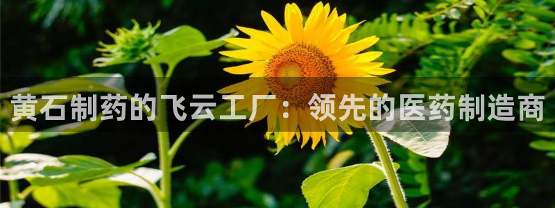 九游会AG下载手机端