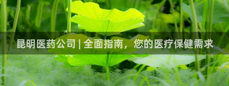 九游会是一个什么网站