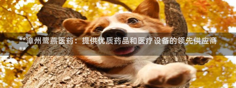 ag九游会j9j9