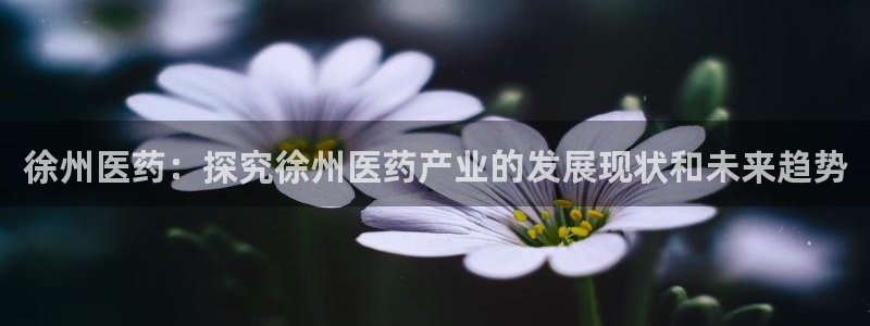 九游会j9官方网站