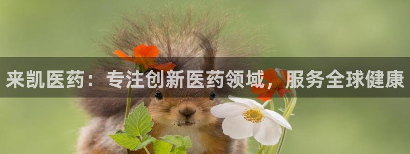 J9九游会老哥