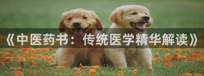 九游会官网网址是多少