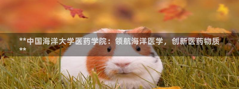 九游会是干嘛的软件