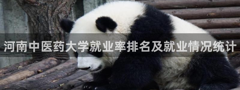 ag九游会官网网址