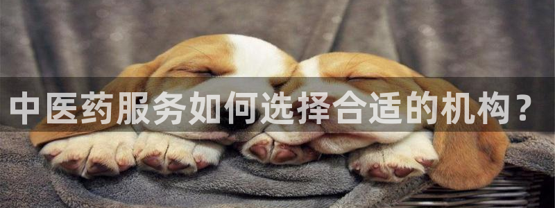 九游会登陆地址