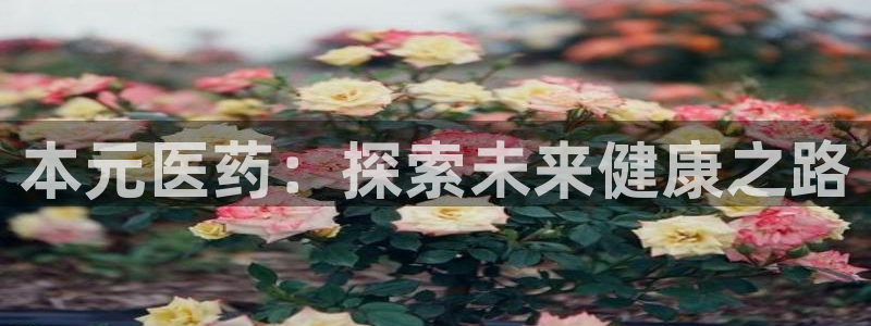 九游会手机版登录：本 