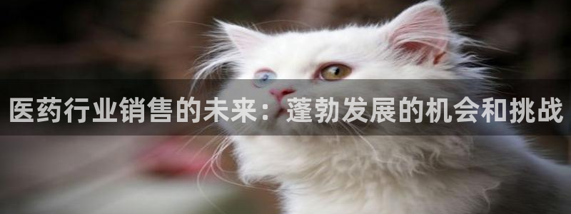 九游会老哥必备的俱乐 