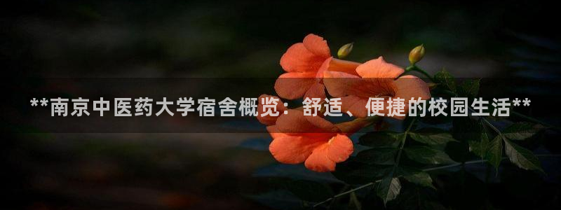j9九游会老哥俱乐部官网
