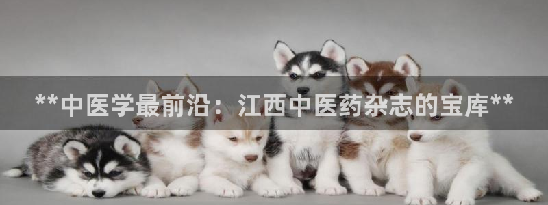 j9九游会app官方下载