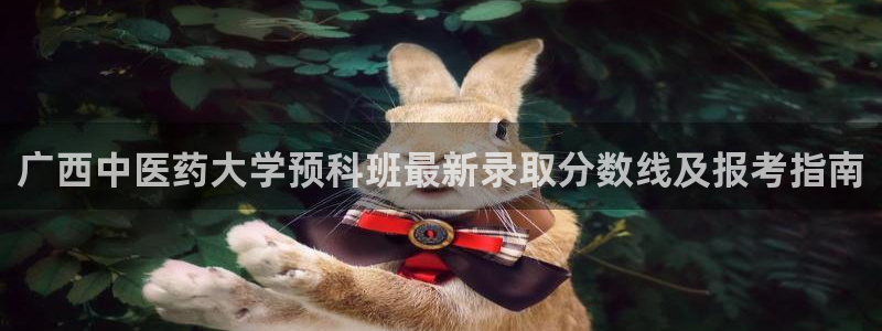 J9九游会官网-真人游戏第一品牌
