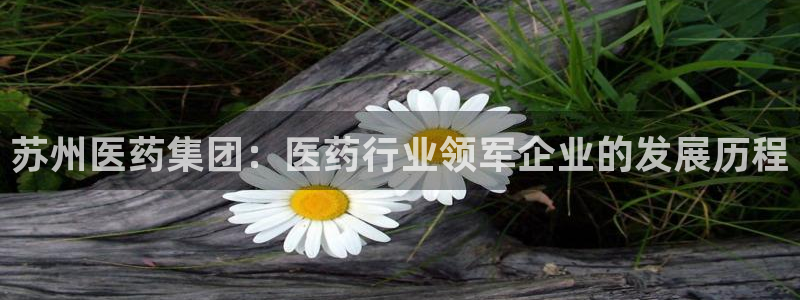 九游会平台