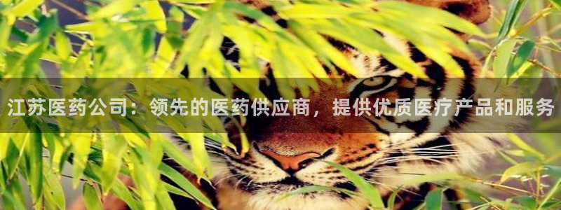 j9官网豪华游