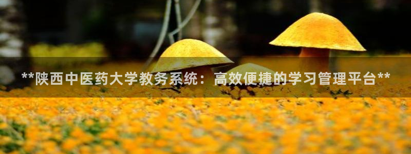 九游会.com