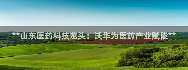 九游会网址是什么：* 